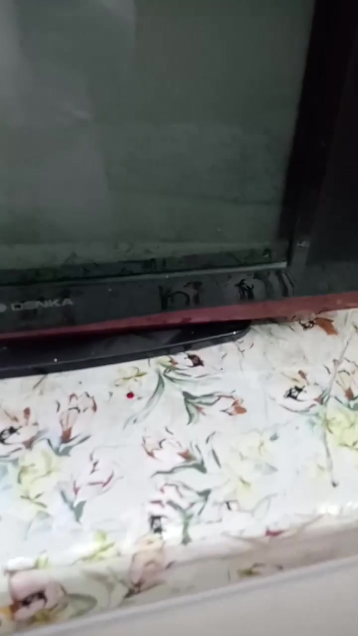 تلفزيون حجم ٢١ وقراص ١٥٠ قرص متنوع سعرهن مه التوصيل ٥٠ الف


**إذا كنت صاحب هذا الإعلان وتريد حذفه لأي سبب، رجاءا أرسل رسالة إلى الدعم الفني**