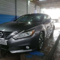 التيما 2017 • صبغ عام • مكفول