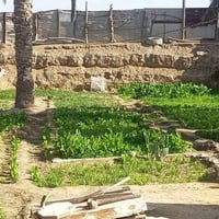 قضاء الكحلاء • دونم • جرف شط