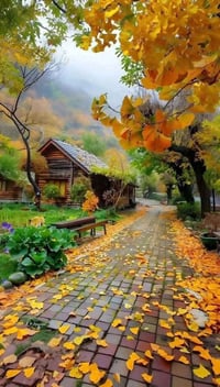 نصف دونم • مدينة الكوت اليوسفية • واجهة ١٩م