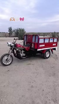 ستوته • اسود • نجف الحريه