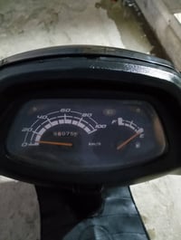 سبيسي ياباني • تجفيت جديد • كوت داموك ١٥٠