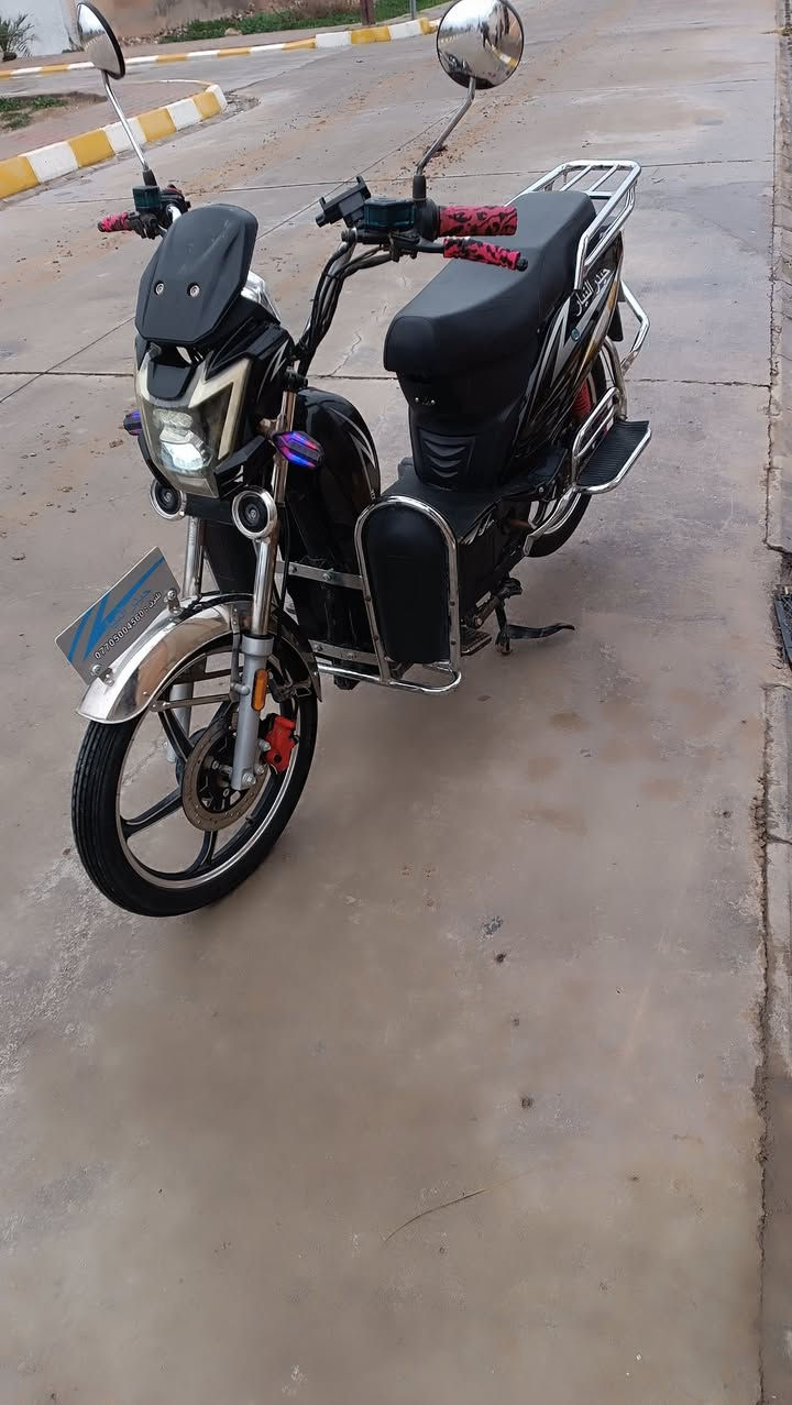 دراجة هارلي شحن للبيع
موديل 2024
سويج عدد 2💠بصمه عدد 2💠 لون اسود
دراجه نضيفة مثل الي بالصورة اشتريتهة فتح كارتون صارلهة قريب السنة يمي
بطاريات عدد 5 
كهربائيات شغالة كامل
شاحنتها موجود
مكان ديالى ناحيه السعديه ( سعدية الجبل)
سعر 550 
     الرقم                              ***********
