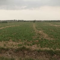 يتوفر دوانم طقطيع حسب الطلب العنوان المدائن الجعاره يبعد عن شارع العام...