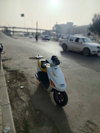 فراشة • فحل • جديدة