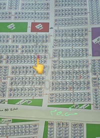 تنومه البيبان • ٢٥٠م • طابو وكاله وكفاله