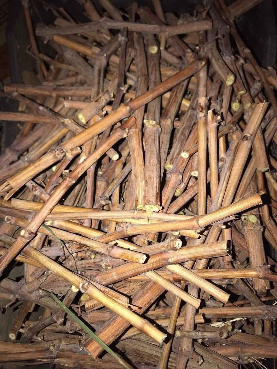 على بركه الله 
توفرت اقلام  عنب 

حلواني 

شده بلداوي

رئاسي او الزيتوني

سعر 1000قلم 60الف

سعر 500 قلم 35الف

سعر 250قلم 25الف

سعر 100قلم 15الف

هسه تكدرون تزرعون شمسي ما حاجه للنايلون 
سعر التوصيل 5الاف لجميع المحافظات

الموقع صلاح الدين قضاء الدجيل


**إذا كنت صاحب هذا الإعلان وتريد حذفه لأي سبب، رجاءا أرسل رسالة إلى الدعم الفني**