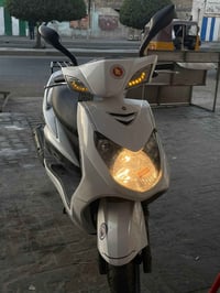 سكنس فحل للبيع نظيفة كلش قبل شهر نازلة من الرمبة اوراقها موجودة المكان...