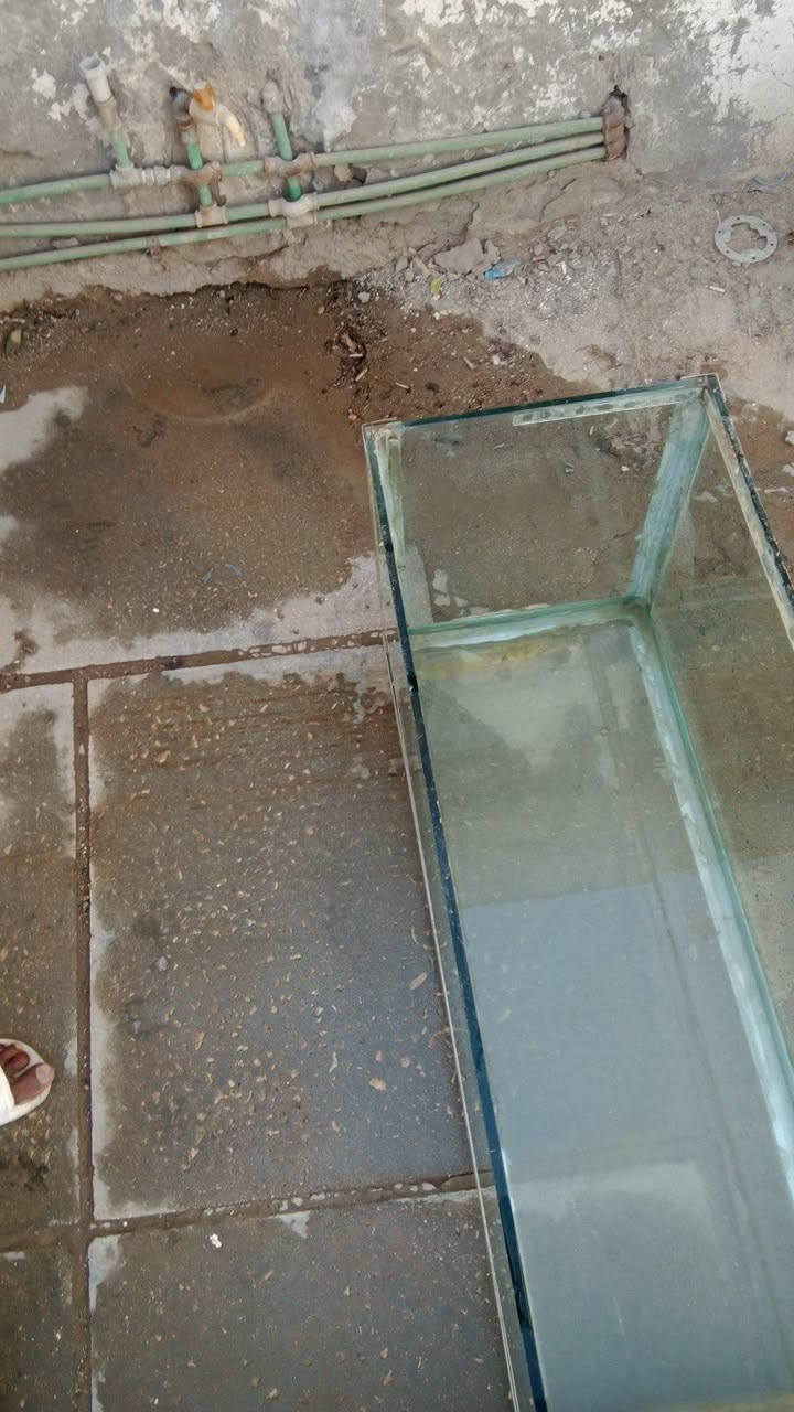 حوض أسماك🐠 للبيع ب٢٥


**إذا كنت صاحب هذا الإعلان وتريد حذفه لأي سبب، رجاءا أرسل رسالة إلى الدعم الفني**