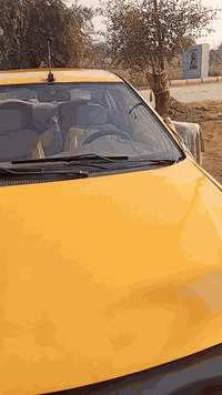 سلام عليكم سمند محور كير ومكينه كورلا تحويرته حلوه ✈️سياره بسمي مصفره هيئه وغرامات  سنويه ساقطه المكان شطره ب38 وبيه مجال لطيبين بس لطيبين هاا😅رقمي ***********
