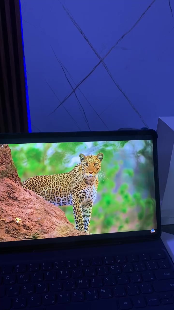 السلام عليكم 
من رخصة الادمن 

🔥 للبيع جهاز تابلت شبه جديد 🔥

📱 Honor Pad 9  
✨ الحالة: نظيف جدًا (مستخدم بس مرتين إلى 3 مرات)  
📦 كامل الأغراض ويا العلبة الأصلية  
⌨️ ويا كيبورد بلوتوث أصلي  

📊 المواصفات:

📏 الشاشة: 12.1 إنچ، دقة عالية + 120Hz  
⚙️ المعالج: Snapdragon 6 Gen 1  
💾 الرام: 12GB  
📦 التخزين: 256GB  

🔊 الصوت: 8 سماعات ستيريو – صوت قوي ونقي  
🔋 البطارية: 8300mAh تدوم لفترة طويلة  
⚡ الشحن: سريع  

📸 الكاميرا:  
- خلفية: 13MP  
- أمامية: 8MP  

💰 السعر: 350 الف
عنواني بغداد 
الكرادة


**إذا كنت صاحب هذا الإعلان وتريد حذفه لأي سبب، رجاءا أرسل رسالة إلى الدعم الفني**