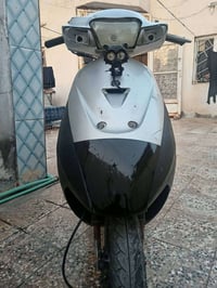 سازوكي رياضي • بدون أوراق • ميسان