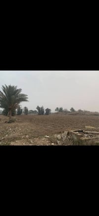 ارض للبيع 2 دونم زراعي سند 25 الموقع اطراف بغداد قرية المراسمة  قريب م...