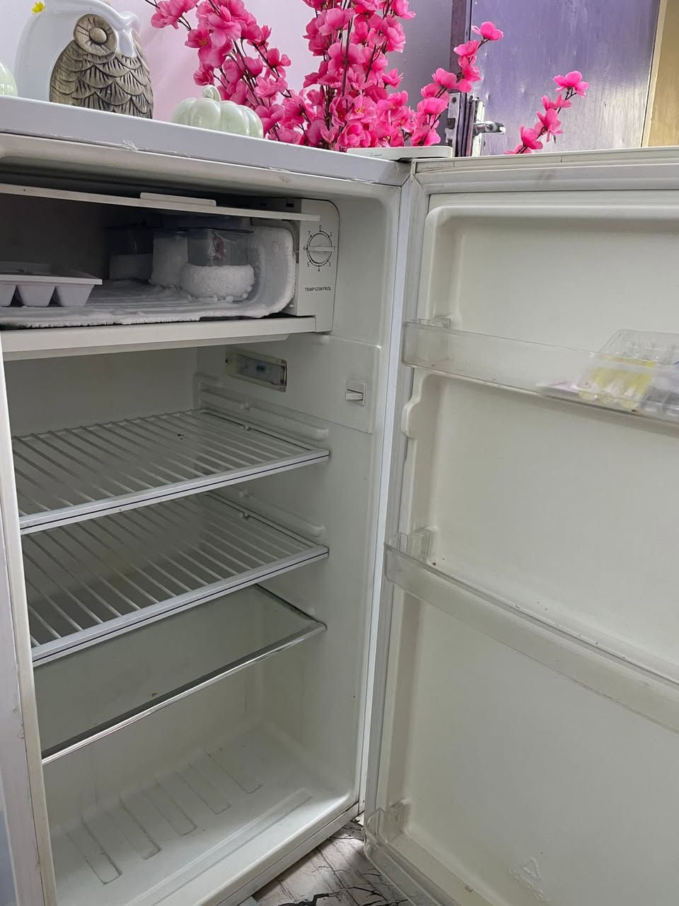 60 وبيهة مجال الشعلة


**إذا كنت صاحب هذا الإعلان وتريد حذفه لأي سبب، رجاءا أرسل رسالة إلى الدعم الفني**