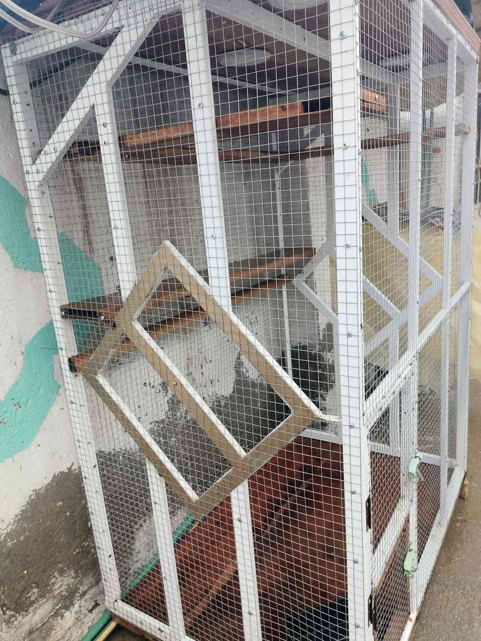 برج حديد سيم بيارسي البيع العنوان
بابل رقم ***********
