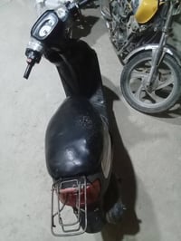 منغولي • فحل • خطين