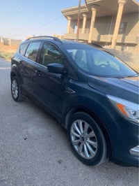 سكيب • ٢٠١٩ • متضررة