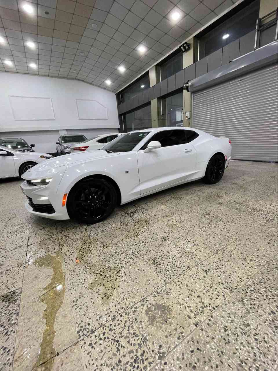 كامارو LS
موديل 2023
18الف ماشية
جاملغ امامي و خلفي صبغ بدون دواخل 
سعر 165$بيها مجال
عنوان دهوك 
رقم مبايل واتساب *********** دهوك, العراق
