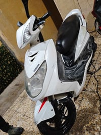 ! سكنس فحل (ياباني) للبيع   (الياباني) نوزل خطين قبق نفخ     . مكفولة ...