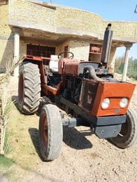 رقم بغداد • كفالة عامة • سنوية مكفولة