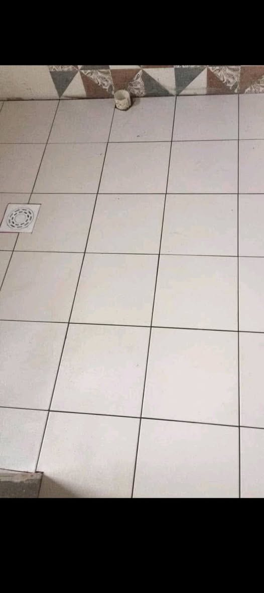 سلام عليكم خلفه سيراميك متفرغ شغل درجه اولى وزن ليزر استلام مهندسين ارضيات جدران ازاره بايات لوح ماده عملنا داخل كربلاء فقط يرجى الاتصال على رقم ***********
