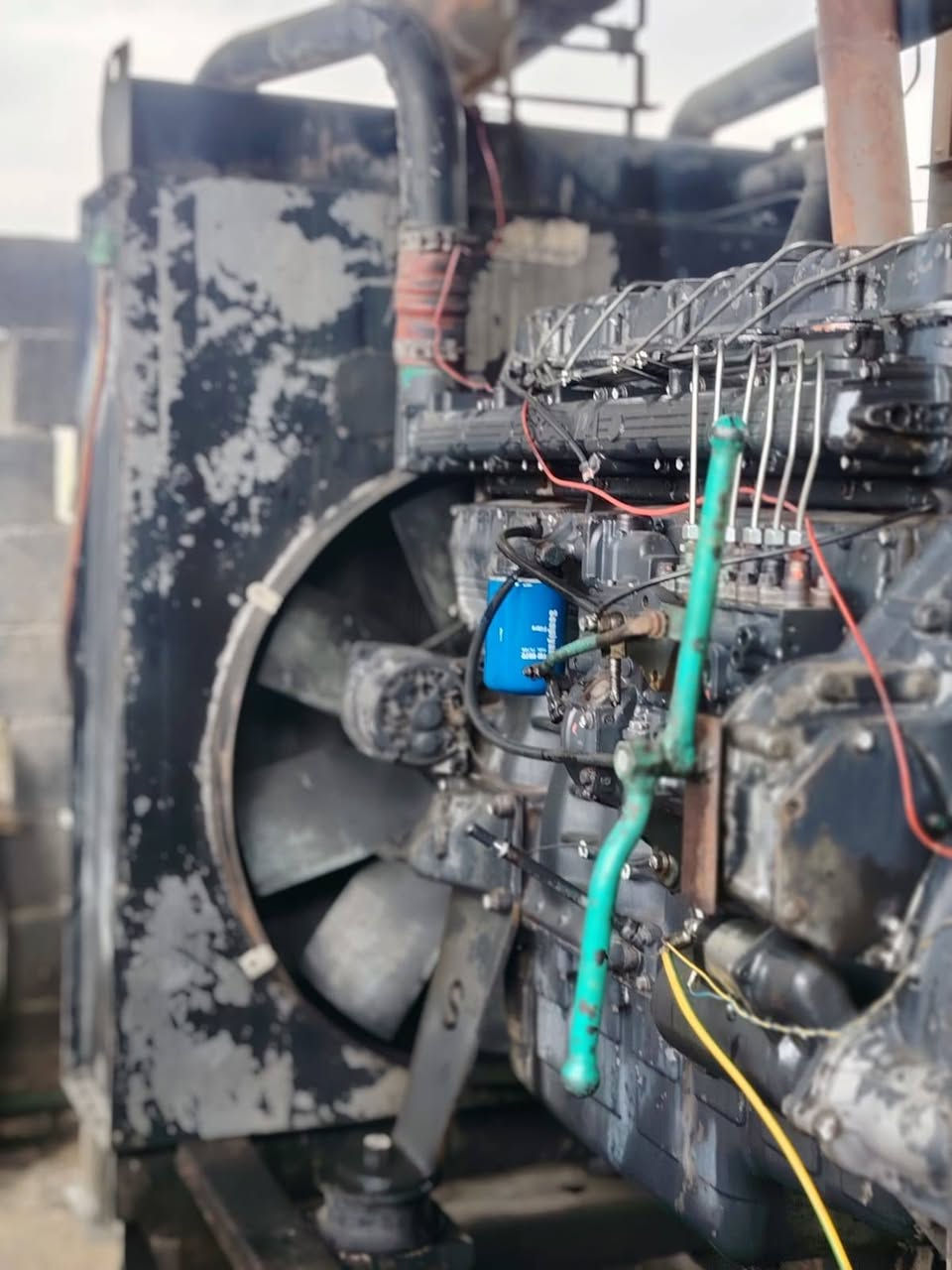 السلام عليكم مكينه سكانيه 124 راس توليد 250 مكينه خير من الله ستندر لاتنقيص لاتبخير السعر 63 مجالها قليل كلش بسمايه ناحيه الوحده ***********
