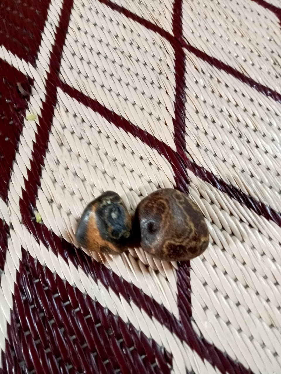 ماشاء الله(نوادر سليماني) انثى وفحل مصور
للمحبة والقبول وعقد لسان طاعه 
للاستفسار اكثر  خاص


**إذا كنت صاحب هذا الإعلان وتريد حذفه لأي سبب، رجاءا أرسل رسالة إلى الدعم الفني**