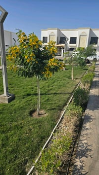 بيت • مجع المروج السكني • ٢٥٠م