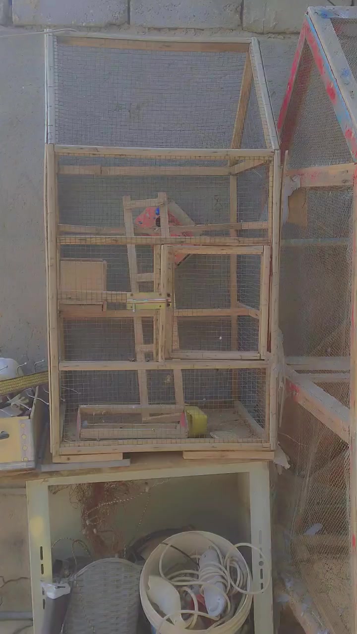 مساء الخير للجميع عندي هاي الغراض اريد ابيعهن اقفاصه او ميز جام بي مهداره قاعدت طباخ مالت دراجات ***********(
***********/////حله شارع 80مالت كربلاء سفينة نجات ثانيه
