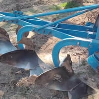 فدان البير • مكفول • الديوانيه