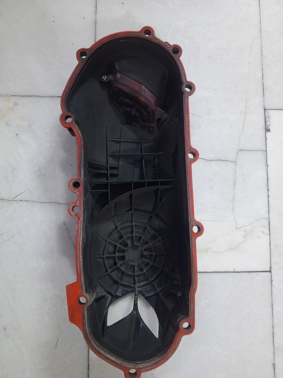 السلام عليكم قبق كوسو يرهم لد فحل نضافة كدام العين سعر ١٠٠ ***********
