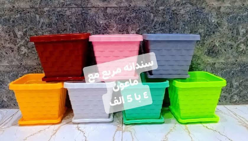 ❤️لكثرة الطلبات 🌹
🪴يتوفر لدينا جميع اكسسوارات نباتات وسنادين بلاستك نوعيه ممتازه 🦊🪴 🐼 
🚕توصيل كل محافظات العراق 🚕 
🪴الزرع لعرض فقط 🪴 
يتوفر جمله ومفرد 🐼 🦊 
حجز على خاص ☎️
📞***********📞

🐼تتوفر لدينا جميع اكسسوارات نباتات 🐼
🪴و سنادين مختلف الأشكال والأحجام والألوان 🕊️🐝🐞🐦🕊️🦋🐦🐞🌿🍄🕊️🐞🦋🐦🍄🌿
متوفر دعسوقات 🐞 🐞🐞🐞
ونحلات لاصقه 🐝🐝🐝🐝🐝
وفراشات 🦋🦋🦋🦋🦋🦋
فطر زينه 🍄🍄🍄🍄🪴💕
1-🐼باندا او سنجاب 🐼 
 2🐞
4-🐞وسط ٢٠ وسط جيس الف 🐞
5-🐞دعسوقة خشن ١٠ قطع با الف 🐞
6-🐞دعسوقة ملون ١٠ قطع الف🐞
7-👍كف ١٠ قطع الف 👍
8-🐦عصفور ٥٠٠ القطعه 🐦
9-🪴غصن مترين رفيع  الواحد الف 🪴
10-🎊نشر ضوئيه مترين الف 🎉🎊
11-🌹🐝
12-🌹🍄🐝🐝
13-🌹🦋🦋🌹فراشه عاديه لصق وجهين و مغناطيس ١٠ قطع با الف🦋
14-❤️جيس ١٠ قطع  ماسك لبلاب كف 
١٠ قطع الف👍
15-🍄١٠ قطع فطر اكبر شويه الف 🍄
18-🪴ماسك لبلاب الف 🌿
🦋
19- فراشات سيم صغيره  ٤ سم 4 با الف🦋
🦋٧ سم ٣ با الف🦋
🦋٨ سم و ٩ سم  ٢ با الف🦋
20-فطر ملون صغير 10 با الف🍄
21-دعسوقة ام عوده ملون جيس 10 قطع الف
22-فطر احمر كبير او صغير جيس الف🍄
23-فطر ملون  صغير او كبير جيس الف 🍄
26- حجر ملون فقط جيس الف 🔵🟣🎊
🪴الزرع لعرض فقط🪴 
#توصيل كل #محافظات_العراق
#بغداد #ناصريه #نباتات #ديوانيه #زرعاتي #سنادين_ورد #ديكورات #نباتات_منزلية_داخلية #نواعم #بابل #البصره #ديالي #واسط #المثني #ديكورات_خشب
#سناد #سناد_زرع #نباتاتي
