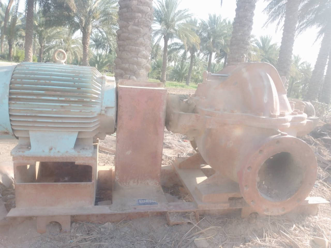 نحاله رستم انگليزيه بلاديه عشره في عشره ماطور بلادي العنوان بابل النخيله الغربيه مقابل شركه اسماك الفرات اني مكلف بالنشر السعر اتصل على الرقم ***********
