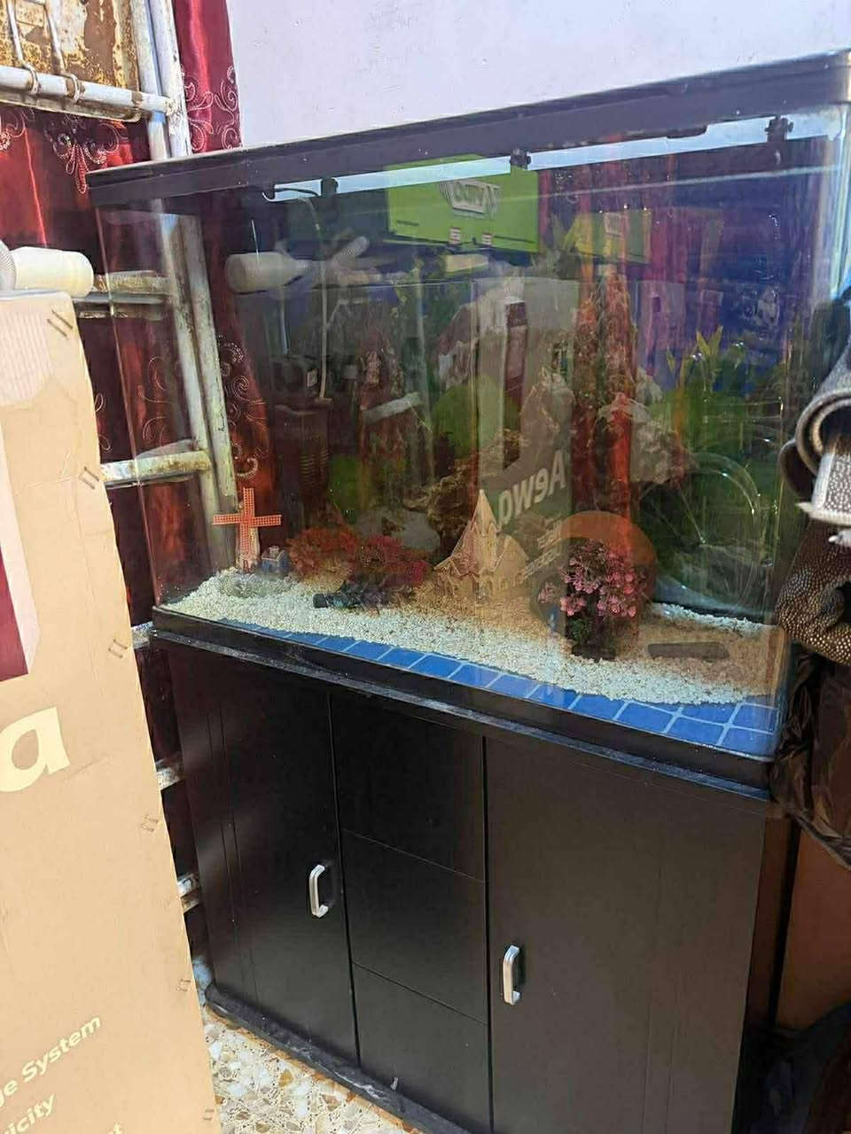 تخم تركي ب٦٠٠
حوض سمك ب١٧٥


**إذا كنت صاحب هذا الإعلان وتريد حذفه لأي سبب، رجاءا أرسل رسالة إلى الدعم الفني**