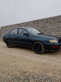 كرونا فرخ بطه • ١٩٩٣ • بدون صبغ