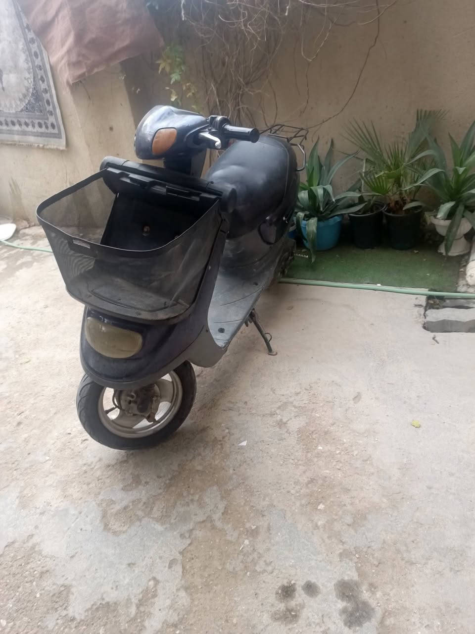 سلام عليكم دراجة منغولي ام السلة مديل
2003 دراجة حلوة أو نضيفة نقصه باتري وشوته فقط هندر واحد الدراجه سعره 225 وبيه مجال ***********
