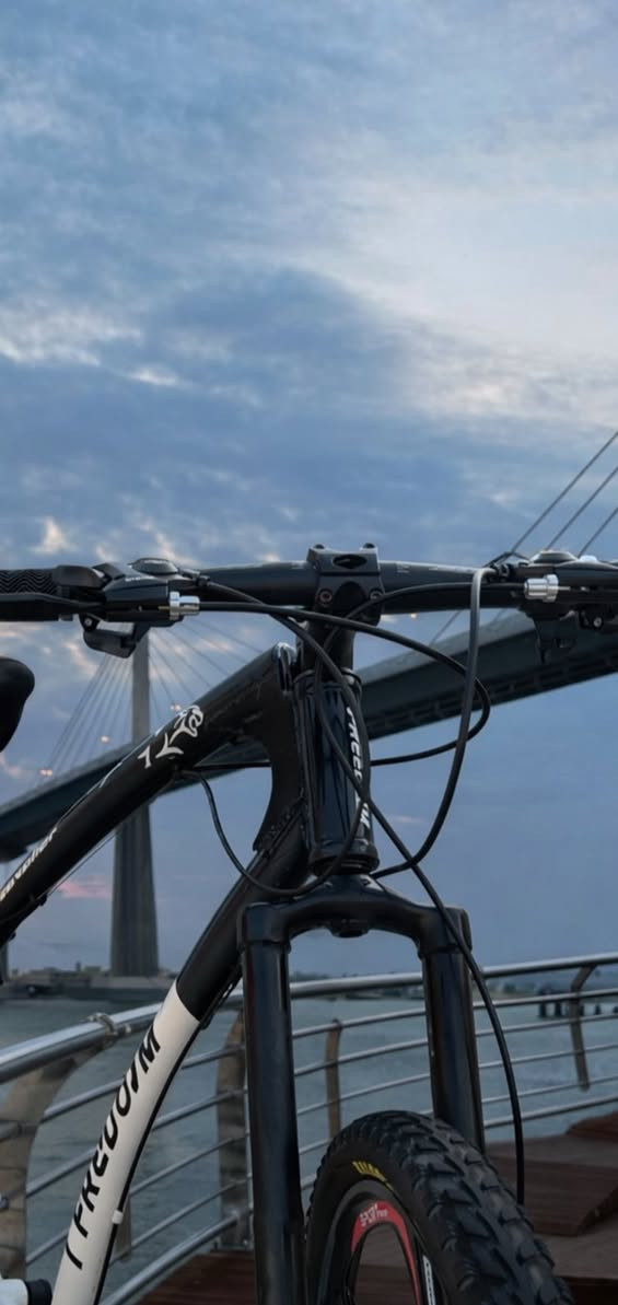 بايسكل علامه جاكوار عالمي ممتاز يتحمل الأوزان الخفيفه والثقيلة بحالة جيدة حجم 26 نظيف وكلشي شغال


**إذا كنت صاحب هذا الإعلان وتريد حذفه لأي سبب، رجاءا أرسل رسالة إلى الدعم الفني**