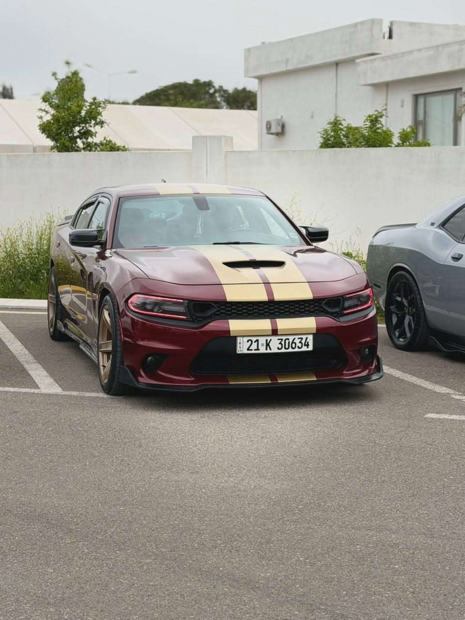 تفاصيل بصوره


**إذا كنت صاحب هذا الإعلان وتريد حذفه لأي سبب، رجاءا أرسل رسالة إلى الدعم الفني**