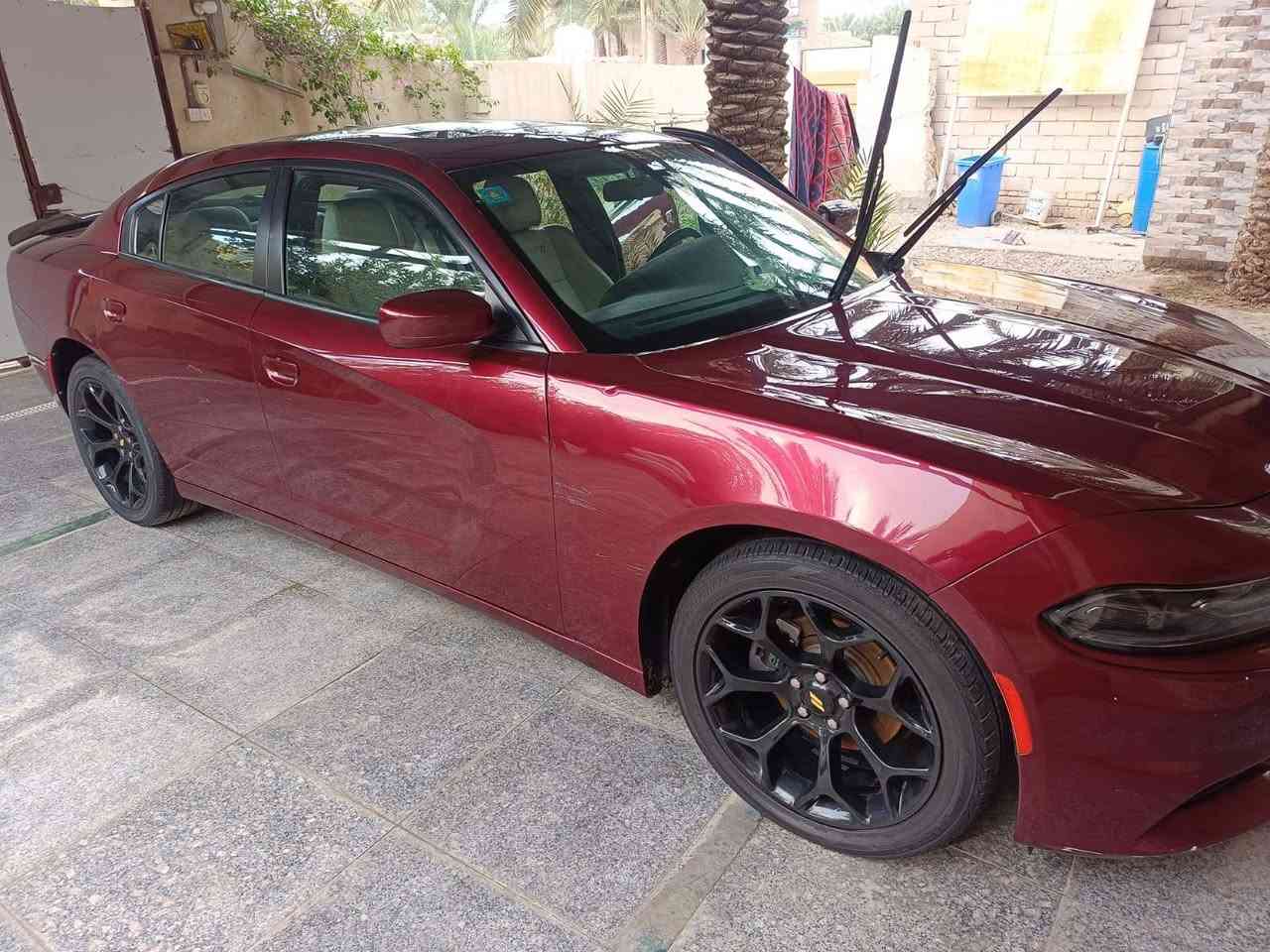 جارجر ٢٠١٩ اصل اصل 
رقم بغداد  لون كرزي
مكاني ناصريه مركز 
ضربته حلوه 
ماشيه ٤٠ الف  مامشتغله خط 
بدون اير باك ضربته موجوده بالصور سياره احلى من الصور السعر ٢٣٥ $ حادثه ربع بنيد معدل نفسه  مداور ثاني يوم راعيها جاري  لاترسل رجا  اتصال فقط رمضان كريم علينا وعليكم  
***********
