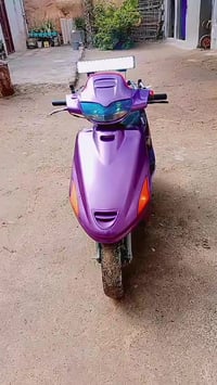 فراشة فحل • شامية • رقمي