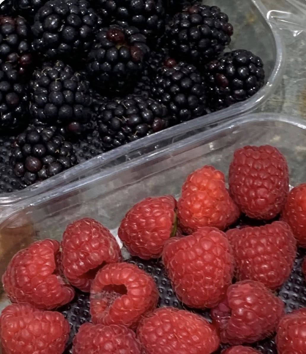 يتوفر شتلات بلاك بيري ( التوت البري)
يوجد اللون الاحمر🍓واللون الاسود 🫐عمر ٥ اشهر   

السعر لشتلة الواحده ١٠ آلاف دينار 

التواصل *********** يتوفر واتساب📞

يتوفر توصيل موصل و لجميع محافظات العراق🚕
