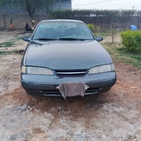 برنس فراشه • ١٩٩٦ • ابي غريب