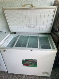 مجمدة • ١٢قدم • بغداد المشتل