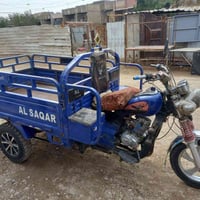 صقر فحل • مكاني • مدينة الصدر