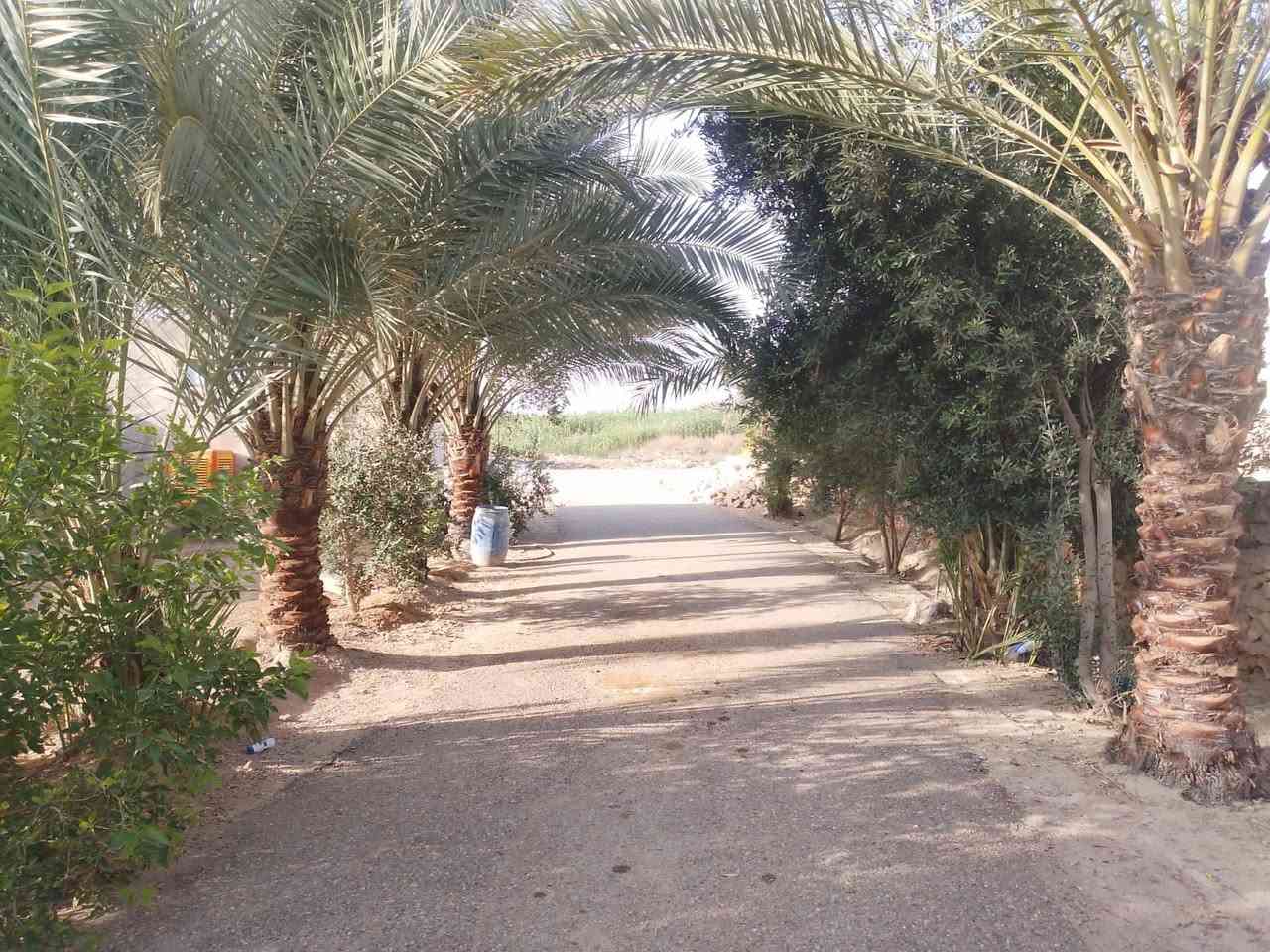 بسم الله 
📍بيت للبيع في منطقة زنگورة ناحية اليرموك 
المساحة : 2000 متر 
البيت لزمة لكن مكفول من العشائر والدولة 
يتكون البيت من : 
.4 غرف 
. مطبخ 
. ديوانية 
. صالة 
.صحيات داخل وخارج 
.حدائق 
*ملاحظة البيت الي بصفة يعتبر قطعة ولكن جاهز للسكن * 
( السعر ١٣٥ وقابل للتفاوض ويرهم مقدمة والباقي اقساط )
للأستفسار 📞.       ***********
