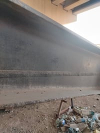 شاصي 14 • مكفول • أوراق