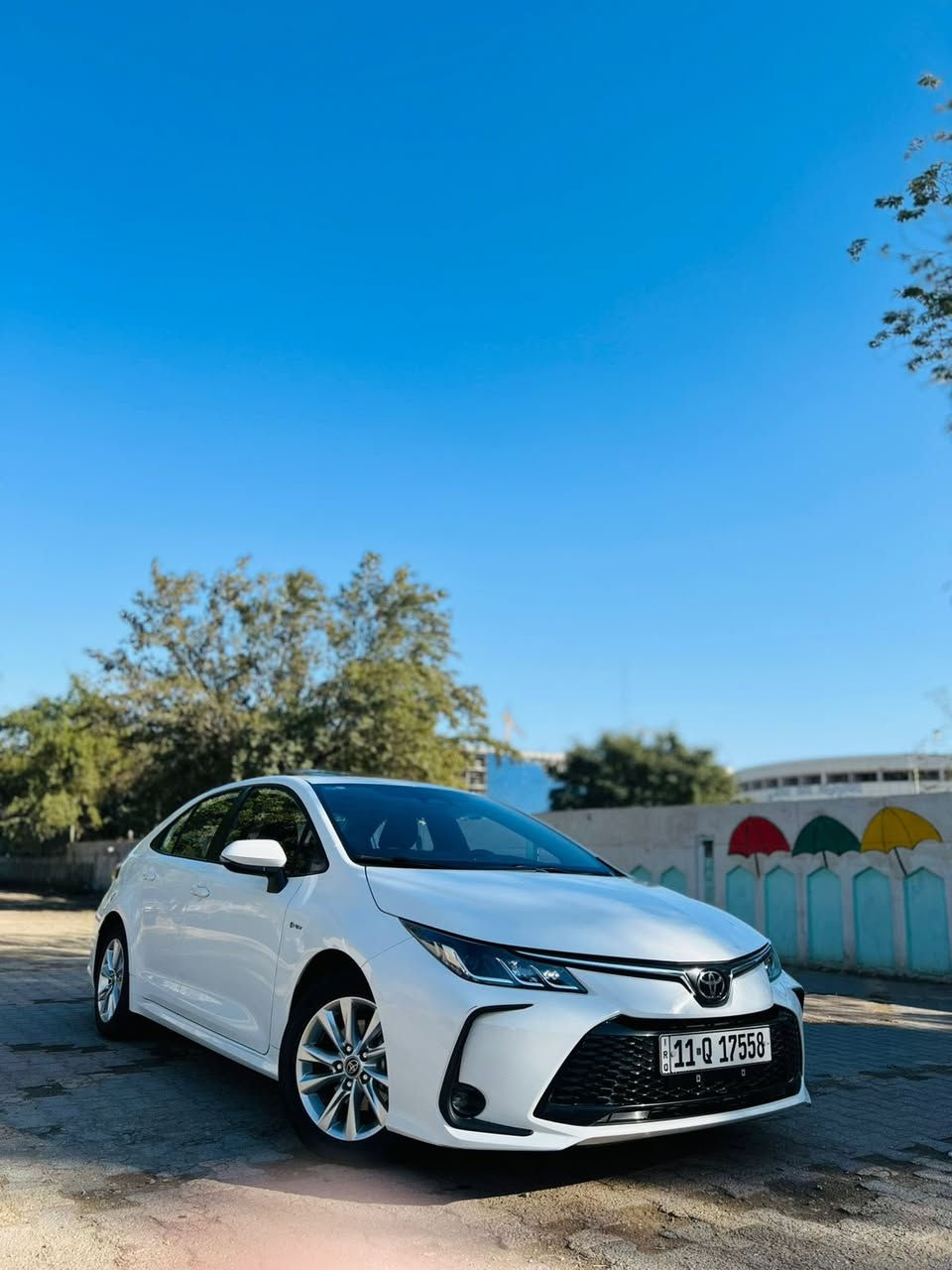 سلام عليكم للبيع فقط بدون مراوس تيوتا كورلا هايبرد تجميع الصيني شكل الخليجي موديل 24 ماشيه 43كيلو مكفوله كفالهه عامه فقط بيه بارد صغير جدا بلباب رقم بغداد الجديد تحويل او وكاله حاضرين 
فول مواصفات 
فتحه سقف 
شاشه 
كامره 
بصمه تشغيل
اشاير بلمري 
مري شفط 
تبريد بيانو 
تحديد مسار 
رادرات 
تحديد سرعه كروز 
داخل اسود 
سايد بريك دكمه 
عداد دجتال 
مود درايف 
اوتو هولد 
فول تحكم ستيرن 
وبعدبيه مواصفات هواي 
المكان بغداد الحريه 
السعر 145وبيه مجال 
الاستفسار اكثر هـ***********
