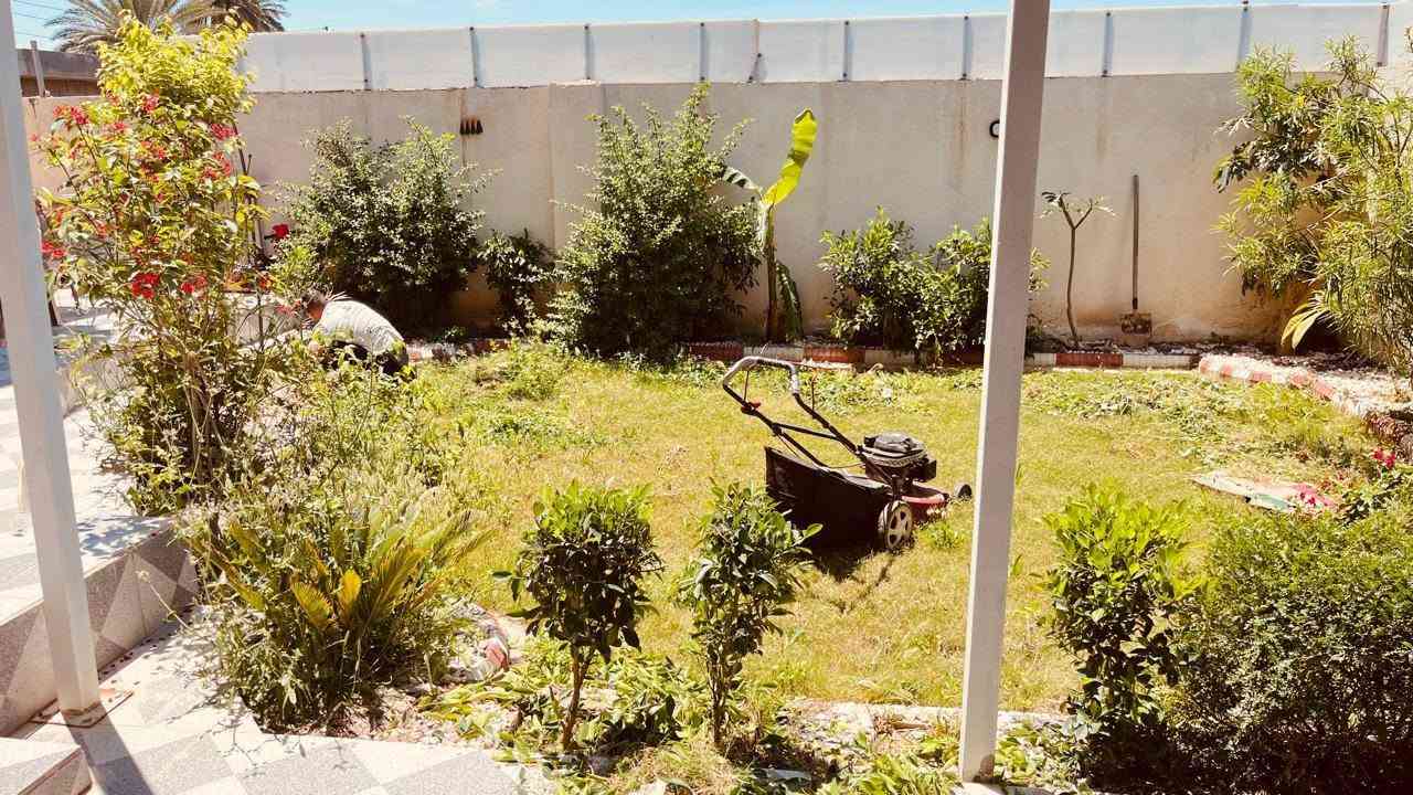 السلام عليكم اخوان كادر الحدايق متواجد يومياً لقص وتنضيف الحدائق والاشجار واسعارنا مناسبه جداََ للاستفسار الاتصال على الرقم التالي *********** ومتوفر على الواتس اب 
متوفر 24 ساعه وأيضاً قص حدائق المسابح في بلد
