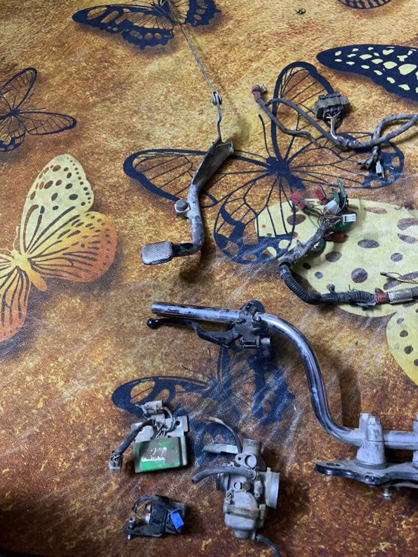 السلام عليكم تفصيخ بوكسر كله اصلي وعلشد
ايشي تحتاج خابرني وبلخدمه
حته مكينته موجوده الي محتاج مكينه مال بوكسر
واسعار مناسبه 
للاستفسار 
***********
