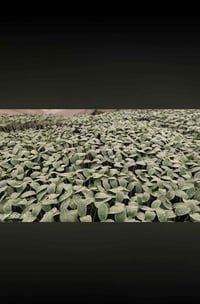 خيار البيع      07824917659